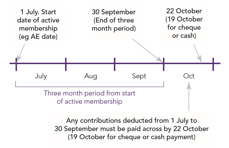 Detailed Guidance 5 5 75Pc