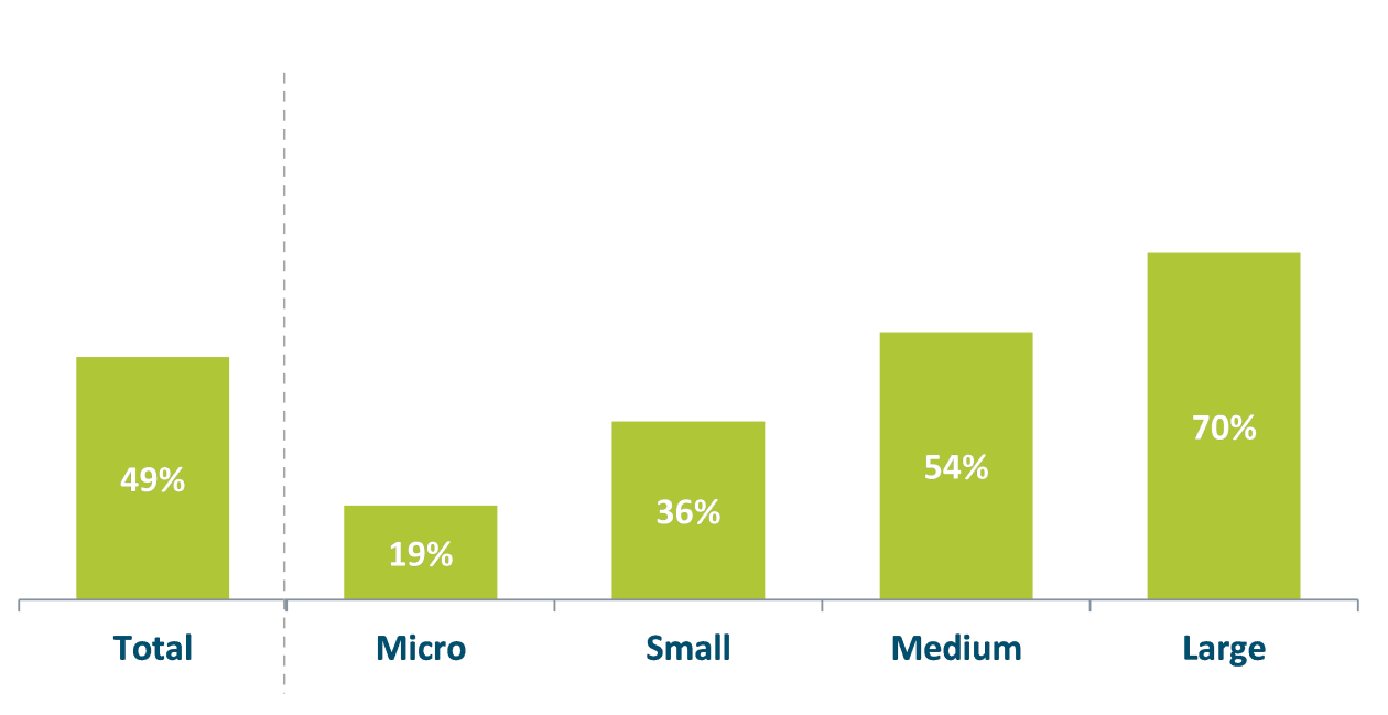 Bar chart showing a total proportion of 49%, 19% of micro schemes, 26% of small, 54% of medium and 70% of large schemes allocate time and resources.