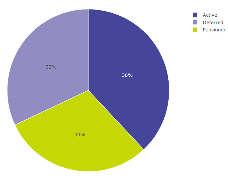 Figure 4.1 is a pie chart as summarised below. Its supporting data can be found in the annex.