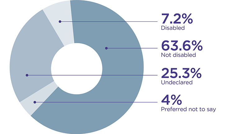 Pie chart showing 7.2% disabled, 63.6% not disabled, 25.3% undeclared and 4% preferred not to say.