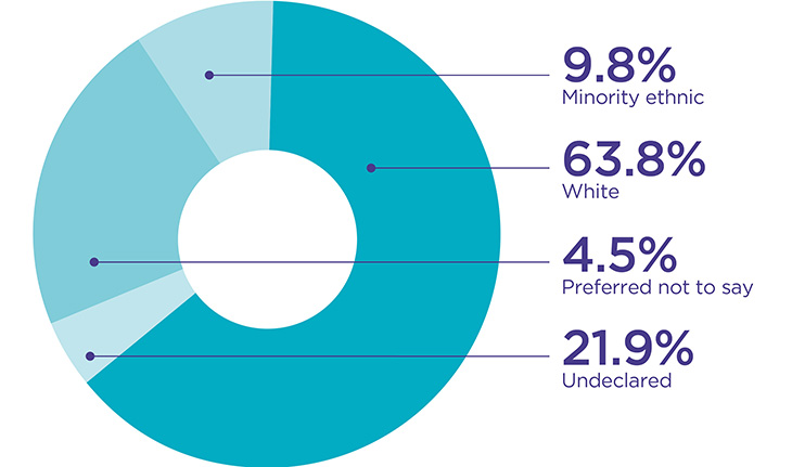 Pie chart showing 9.8% minority ethnic, 63.8% white, 4.5 preferred not to say and 21.9 undeclared.