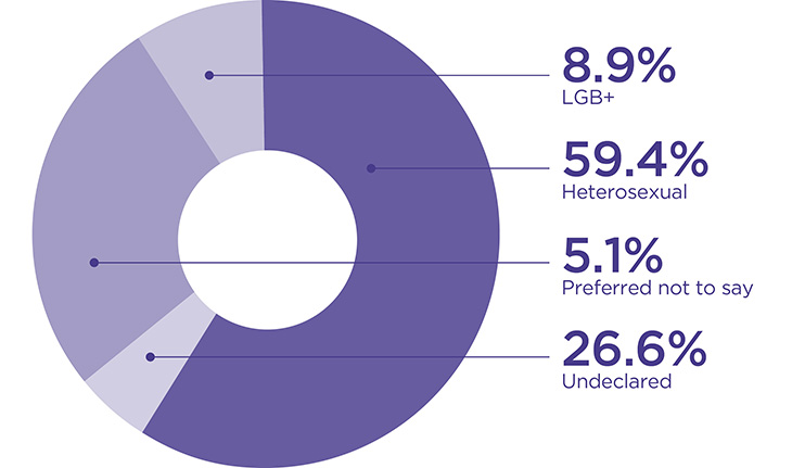 Pie chart showing: 8.9% LGB+, 59.4% Heterosexual, 5.1% Preferred not to say and 26.6% Undeclared.